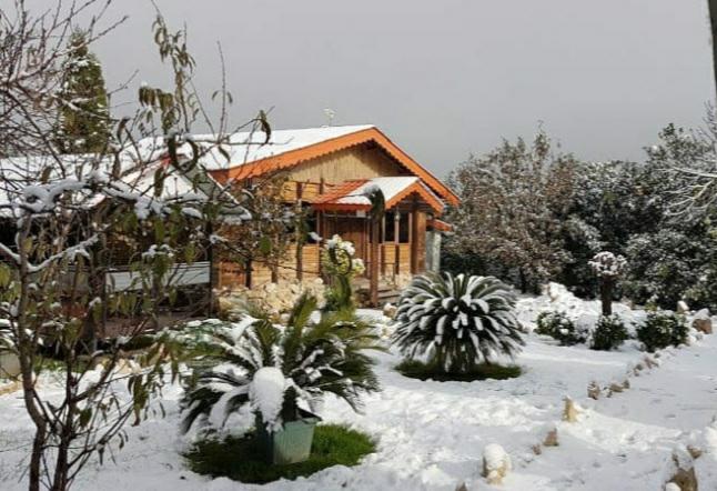 سرای سنتی شونیشت/روجایی