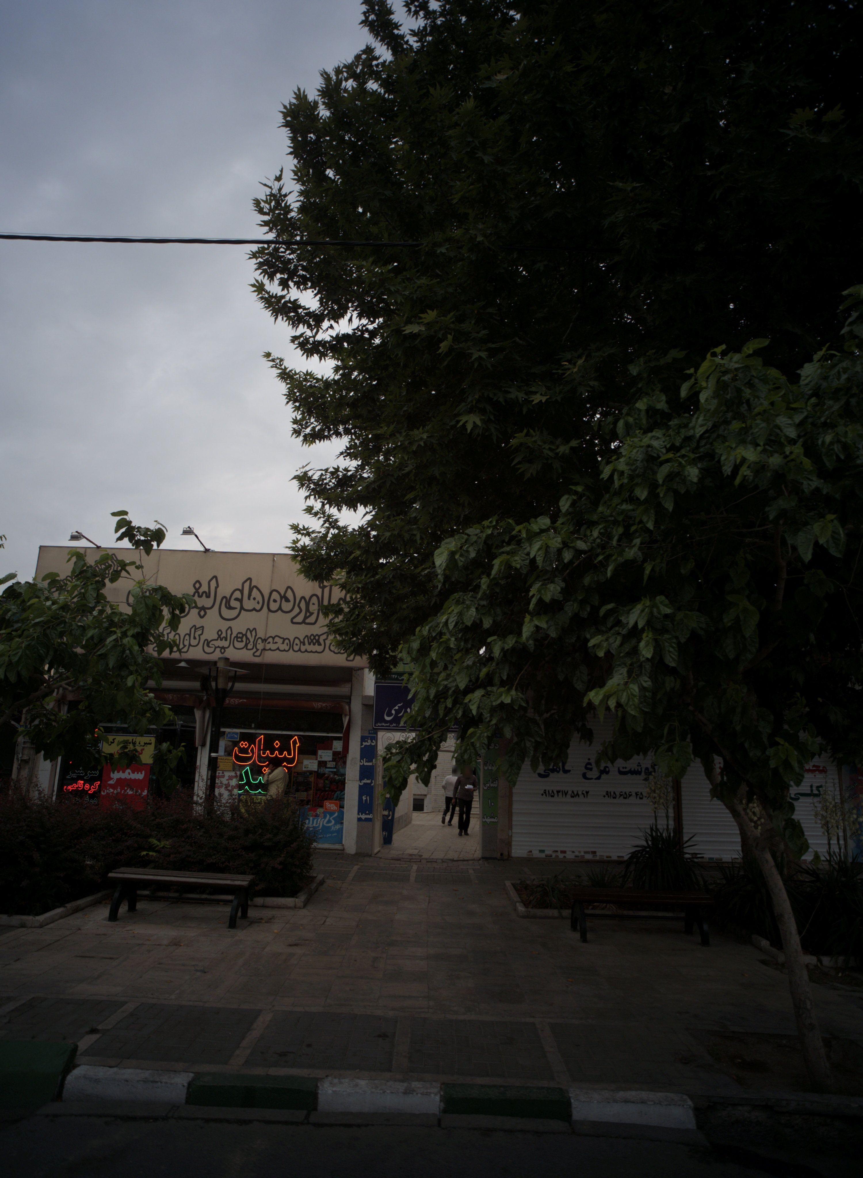 گوشت مرغ و ماهی