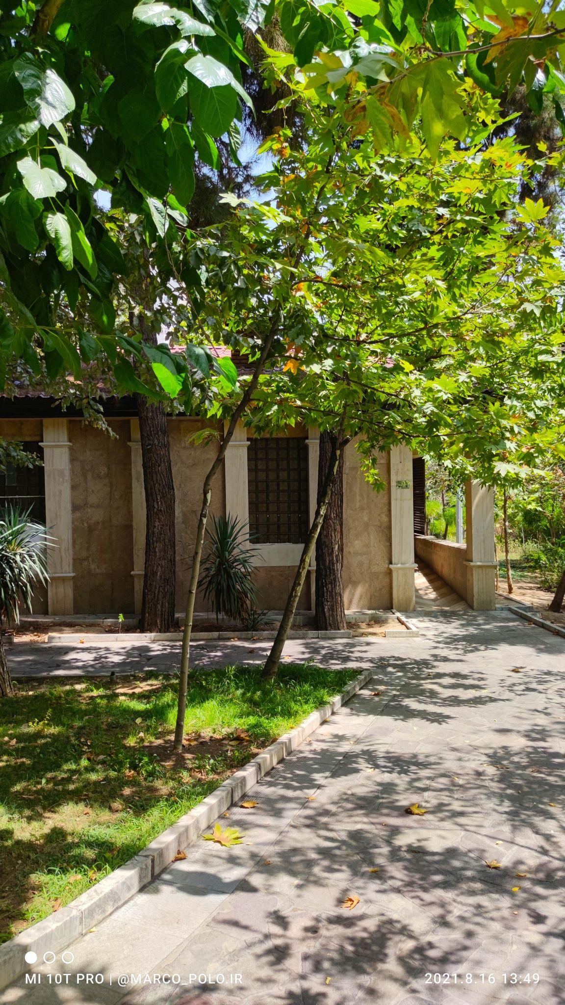 سرویس بهداشتی