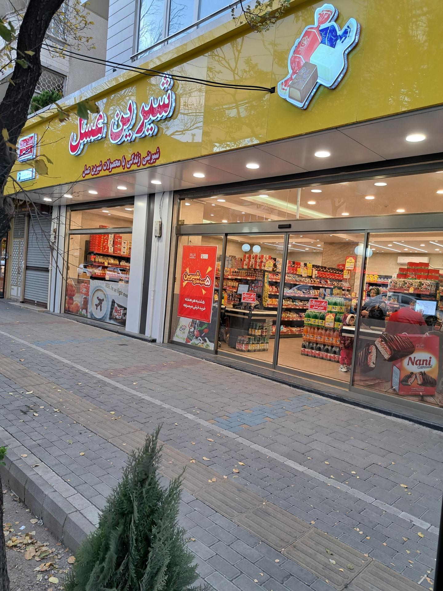 پخش زیتون