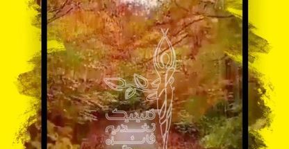 فائزه عسکری