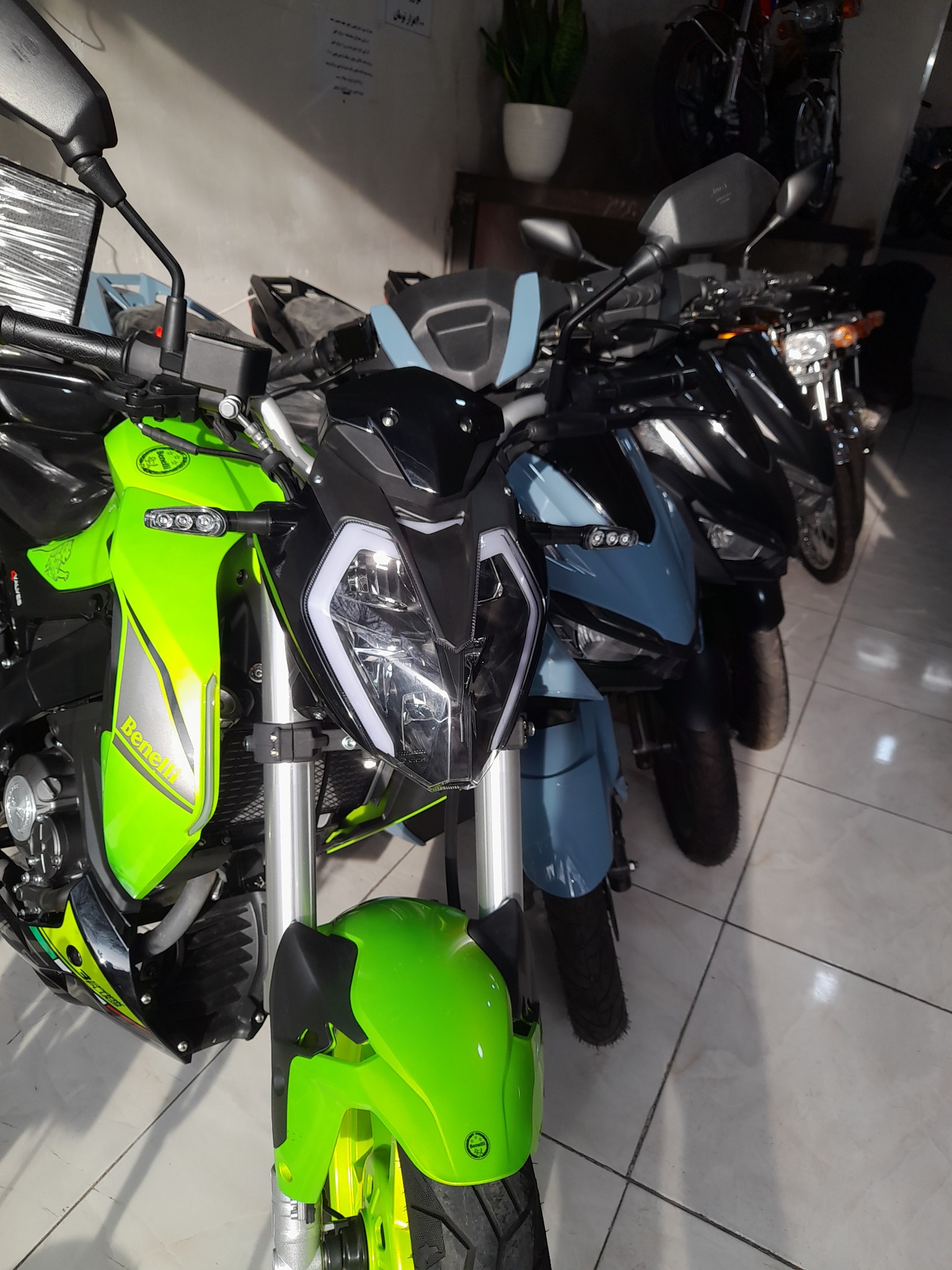 گالری موتور سعید