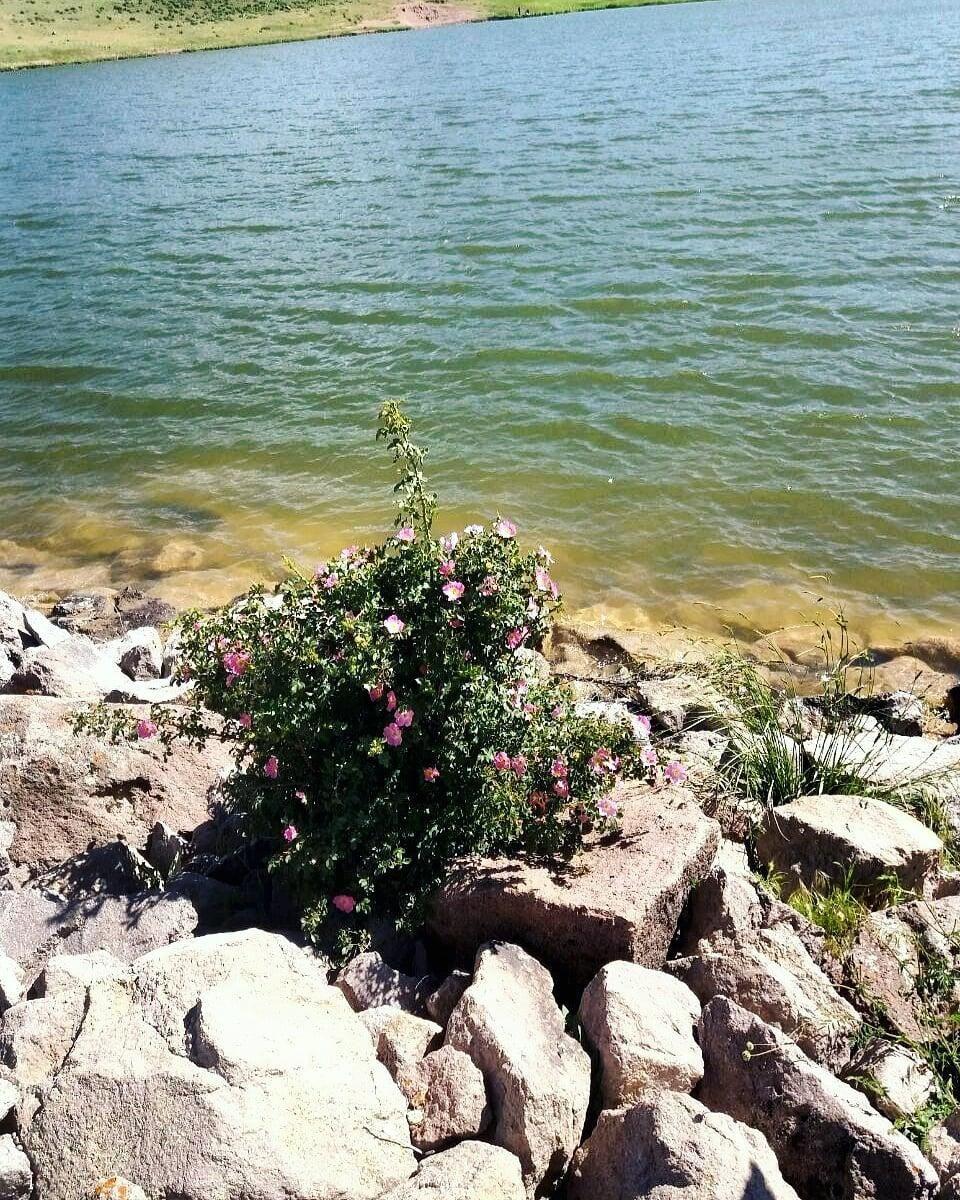 سد کایان (میجمیر)