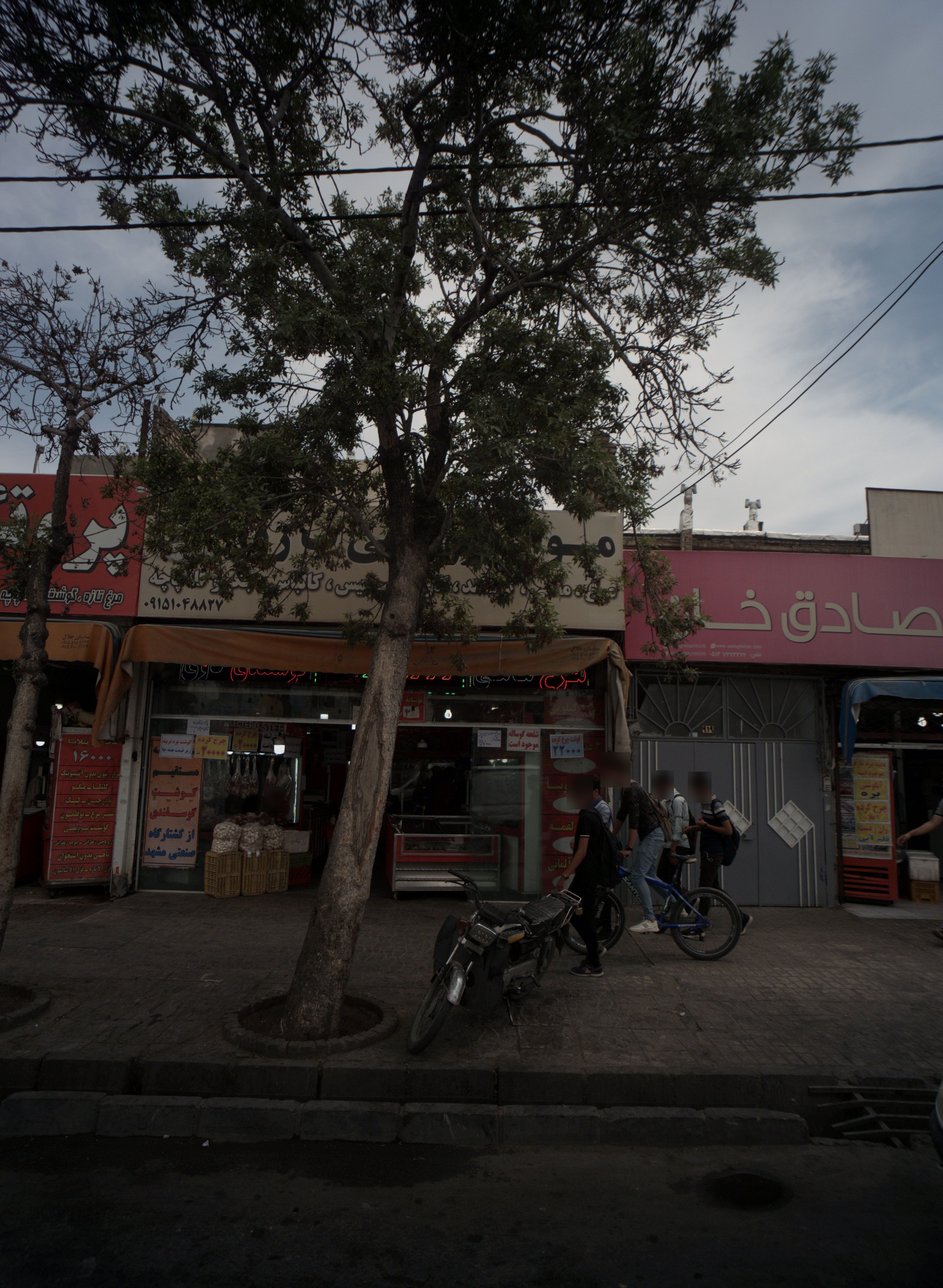 مواد پروتئین