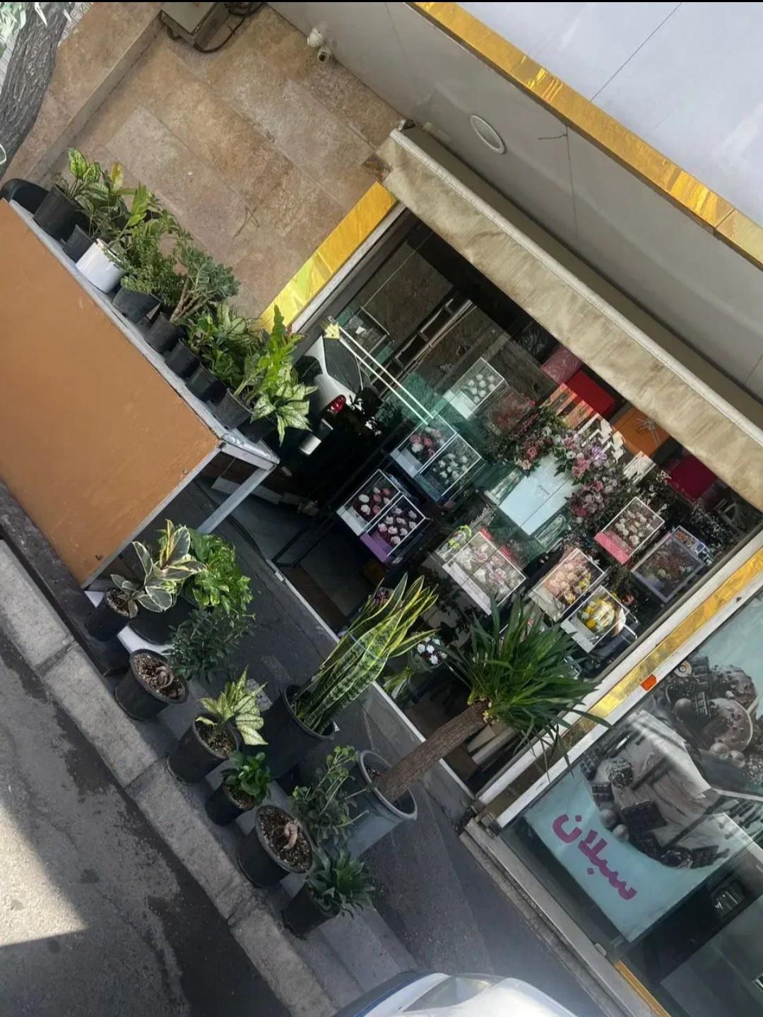 گل سرای رز