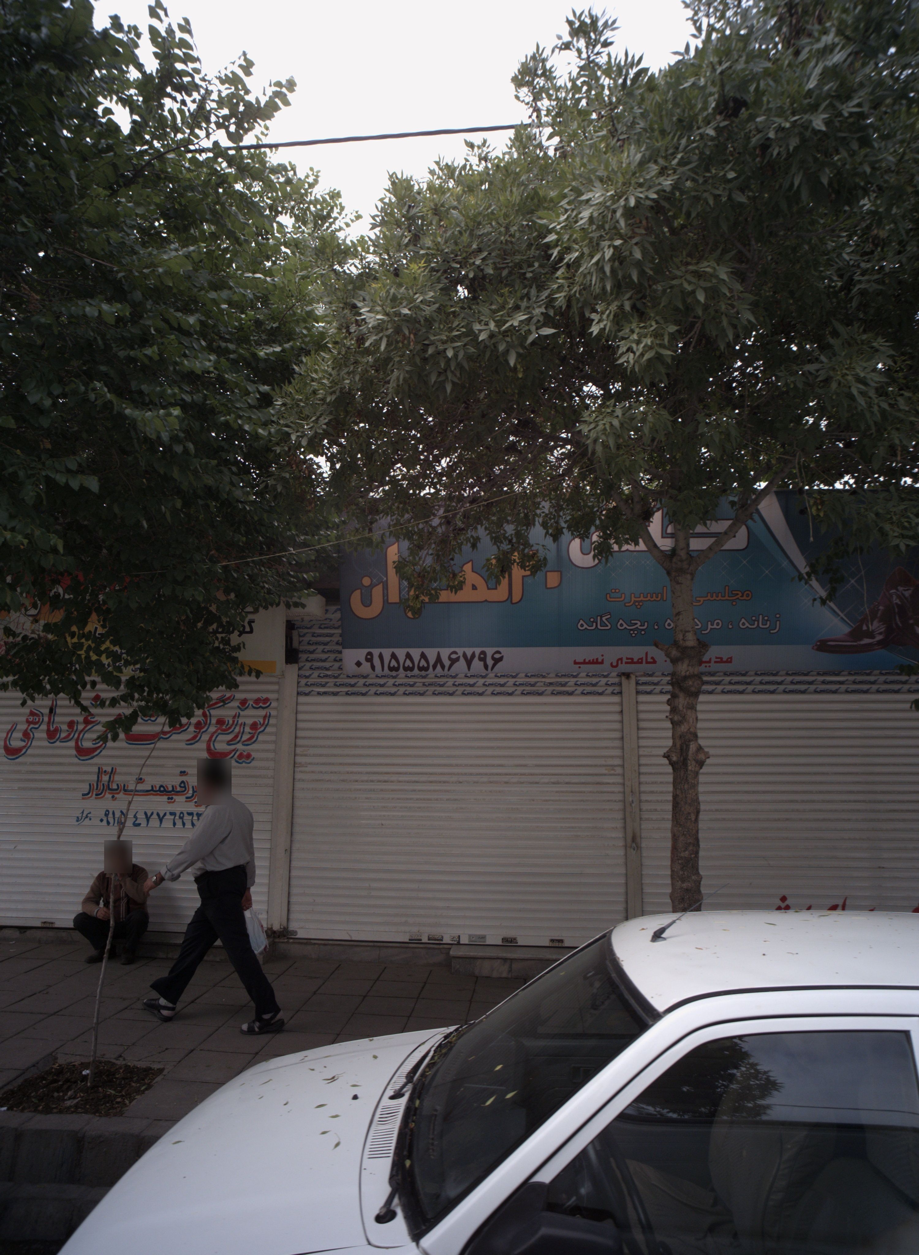 توزیع گوشت مرغ و ماهی