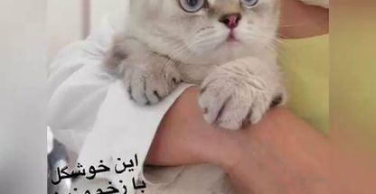 آزمایشگاه دامپزشکی پروبا