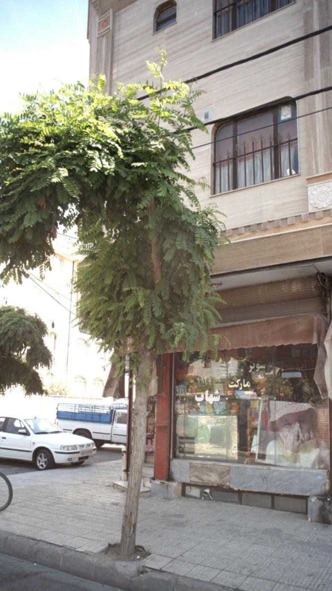 سوپرمارکت بخشی