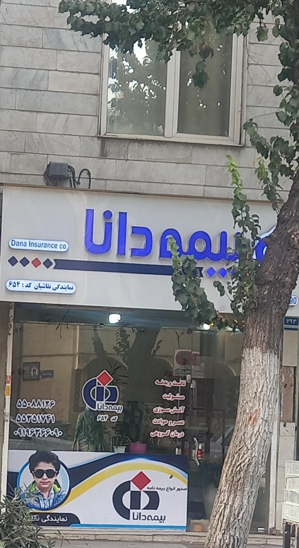 بیمه دانا