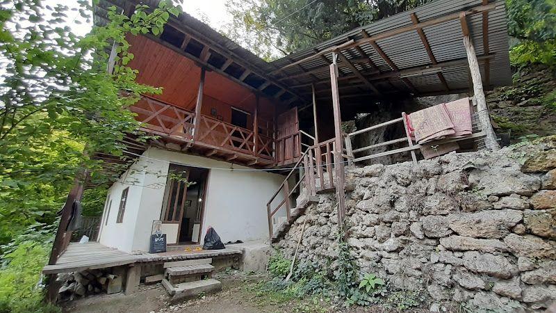 کلبه جنگلی عمو وجی