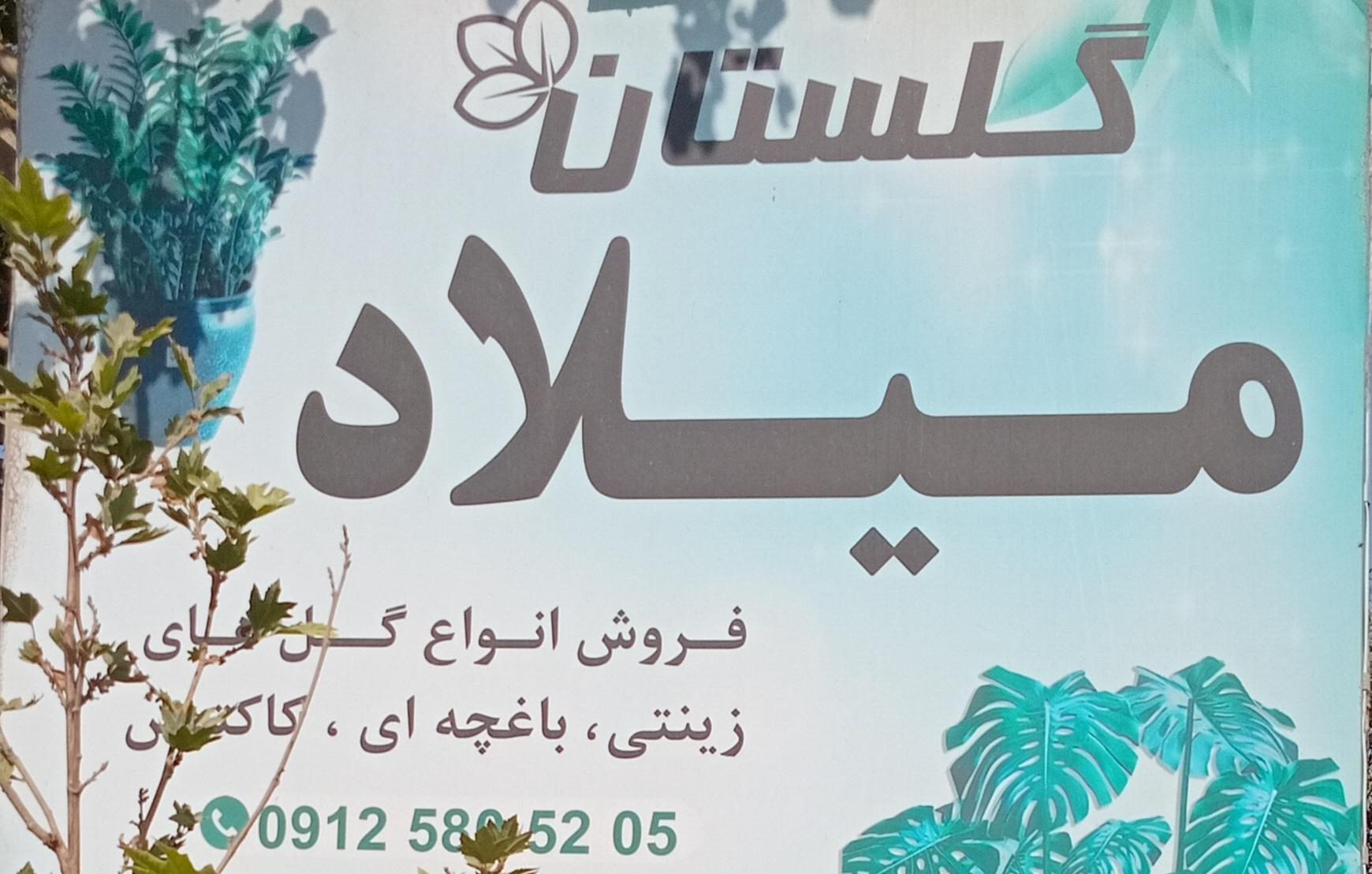 گلستان میلاد