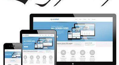 طراحی وبسایت رایابهسازان