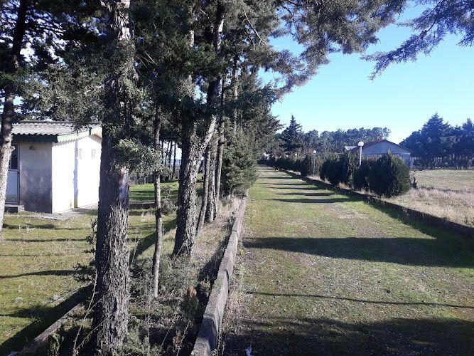 مجتمع تفریحی اقامتی دانشگاه علوم پزشکی شهید بهشتی (شفارود)