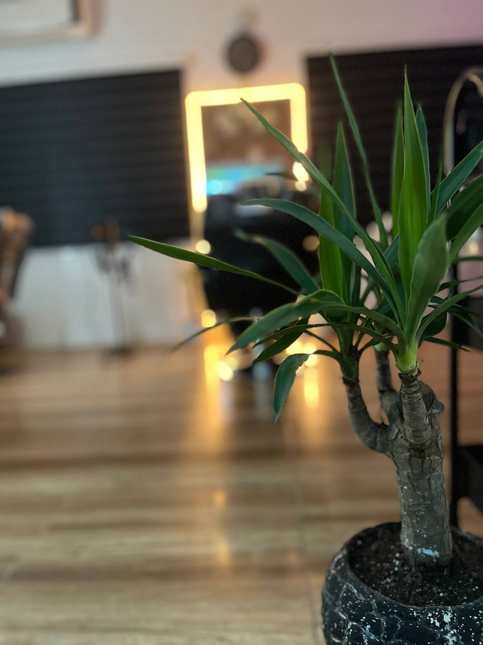 آرایشگاه هشت - بندر انزلی - 6834
