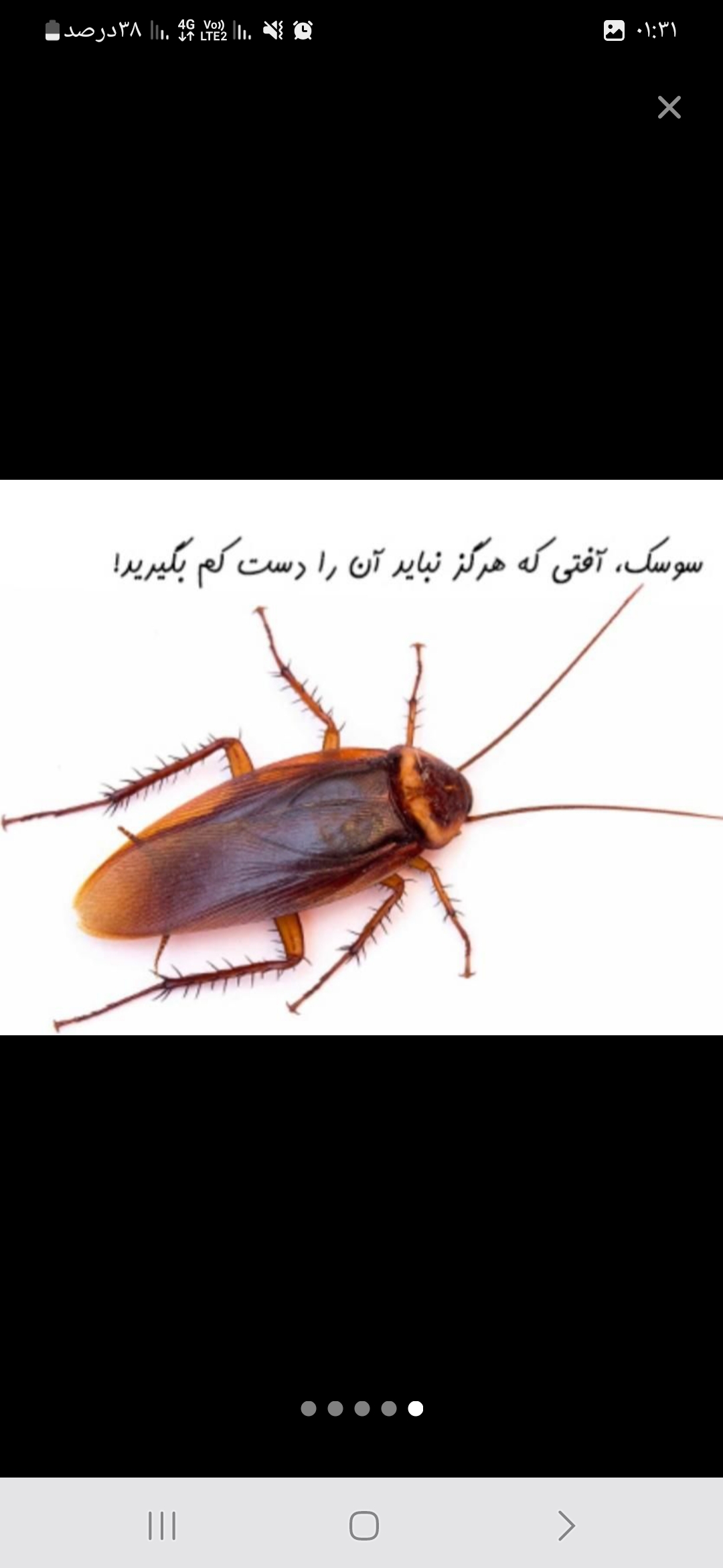 سم پاشی تخصصی بدون بو نوروزی