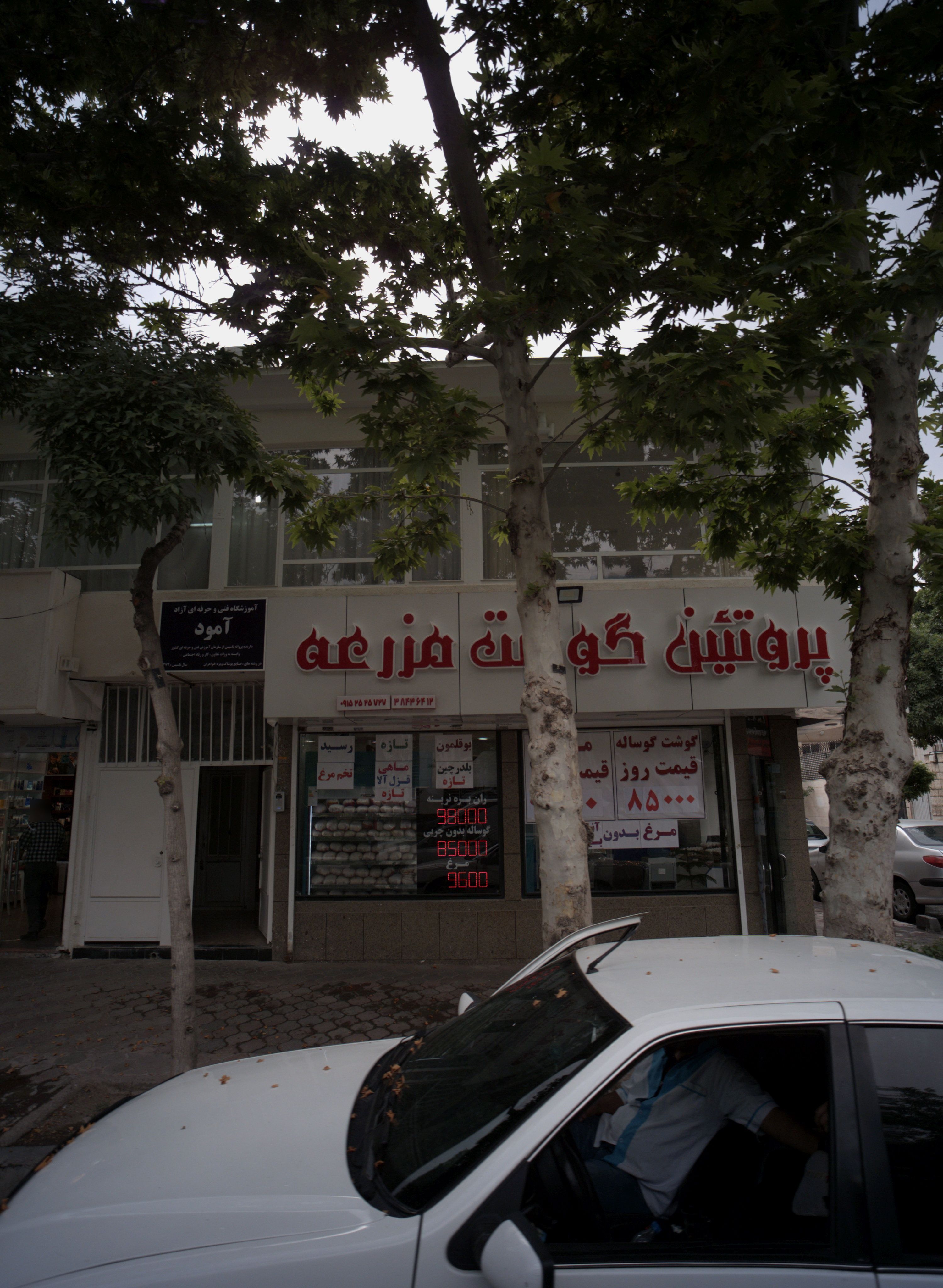 پروتئین گوشت مزرعه