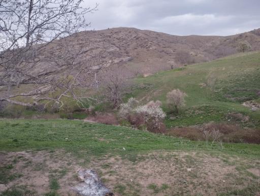 بانک کشاورزی باجه جانانلو