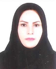 وکیل سیده مریم صالحی