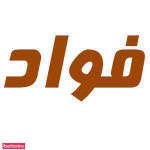 دبستان فواد