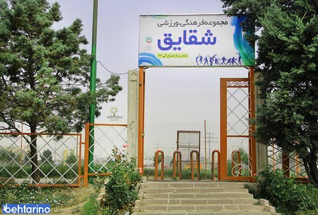 زمین شقایق