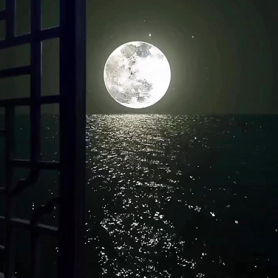 مجتمع تجاری اطلس