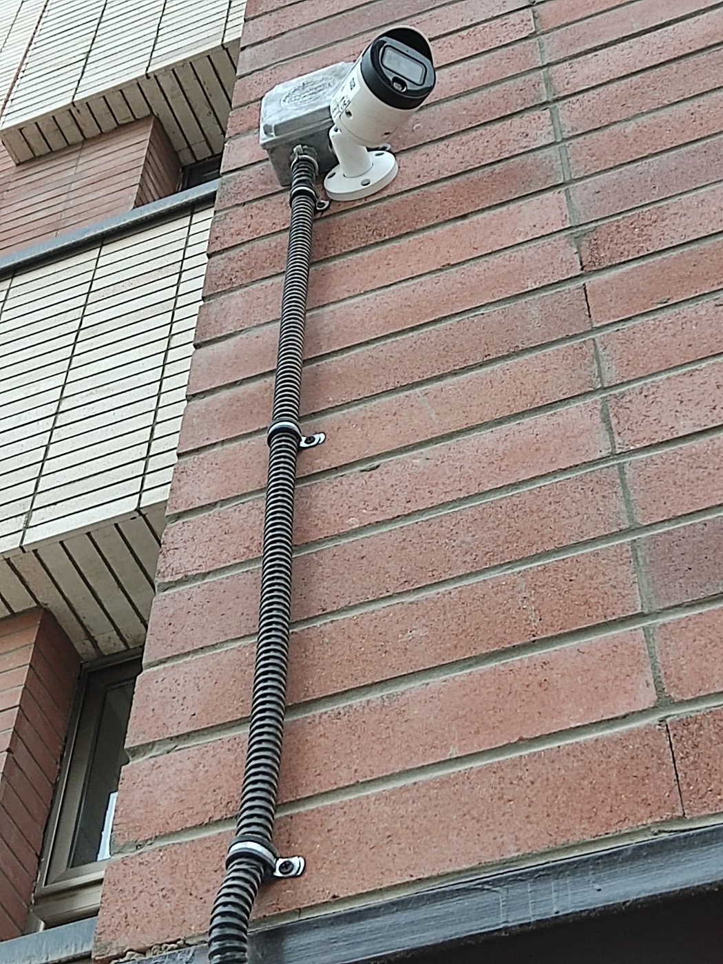 حسن نریمانی