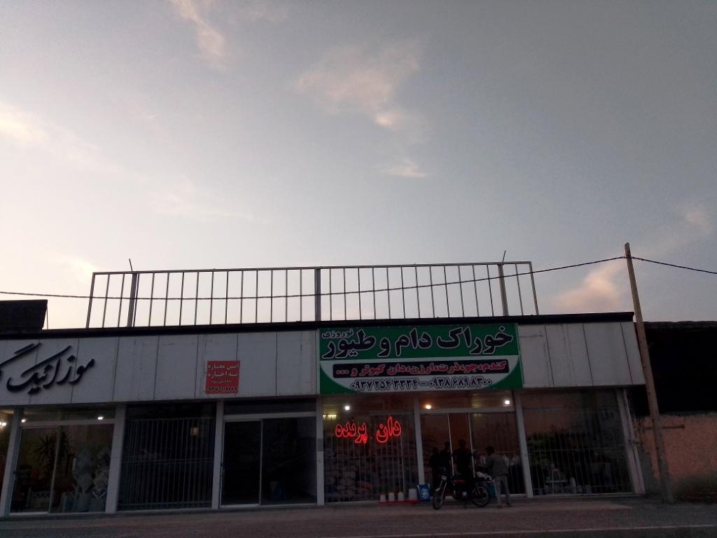 ادوات مشهد