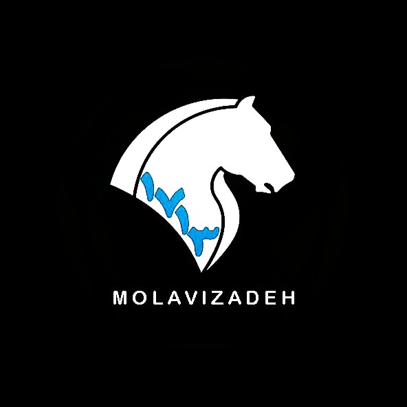 ایران خودرو 1713 مولوی زاده