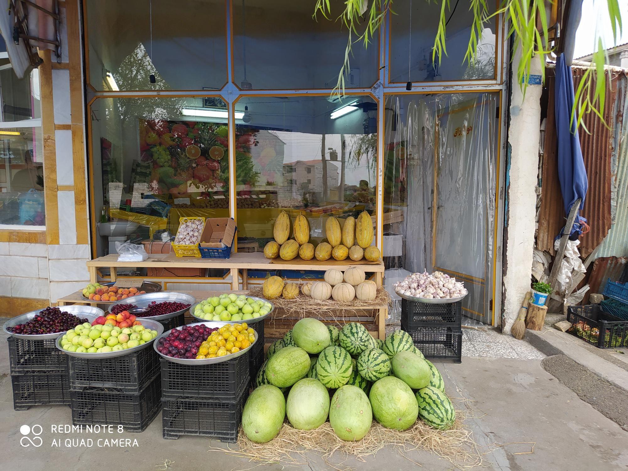 میوه و تربار تک (نوروزی)