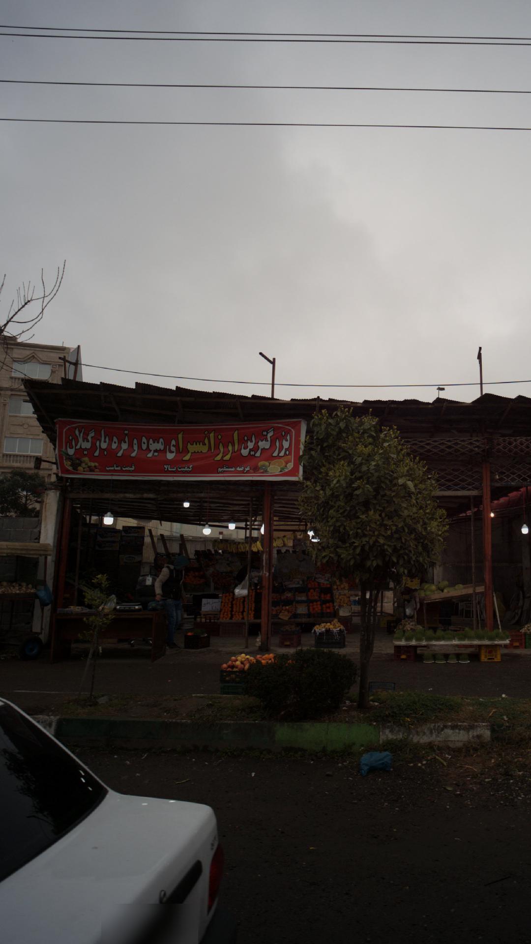 میوه فروشی طارم