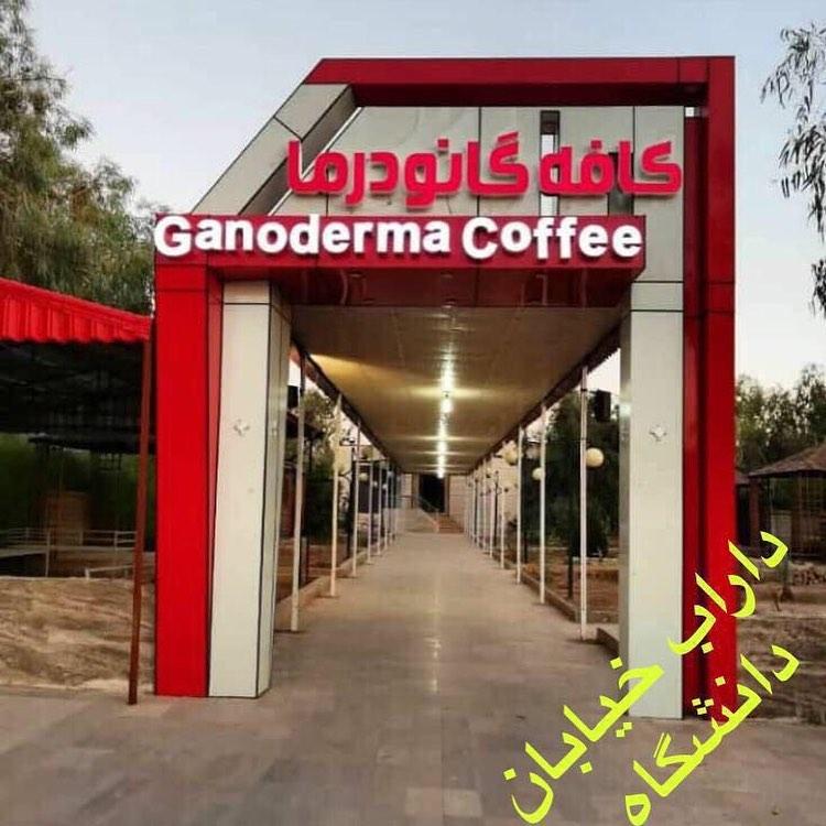 کافه گانودرما