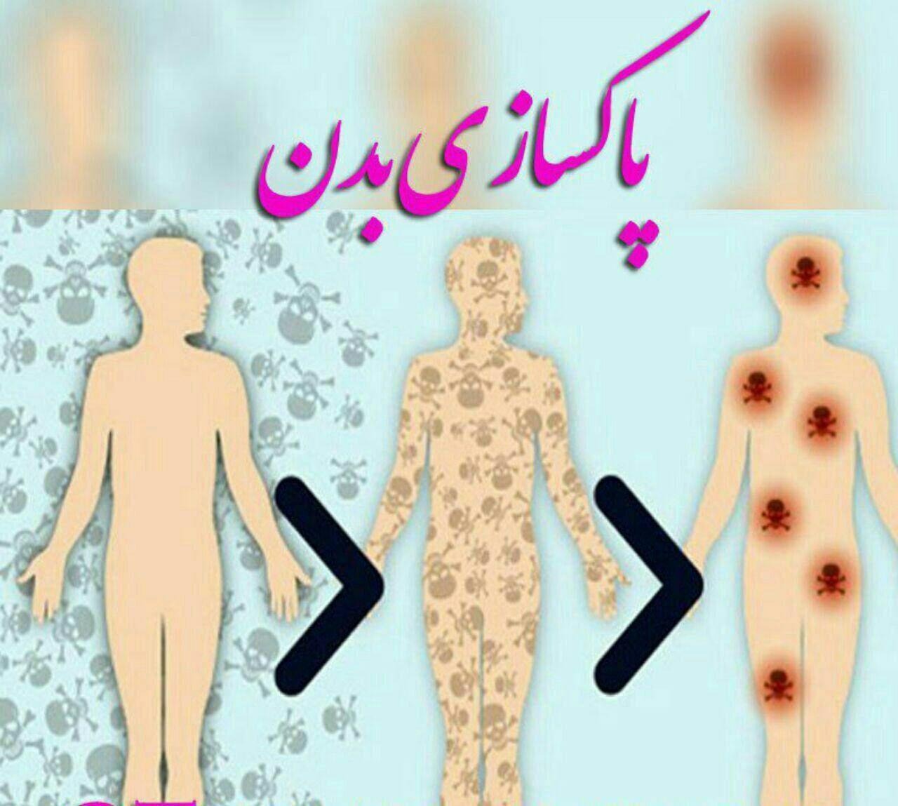 طب سنتی و دمنوشهای گیاهی منفرد
