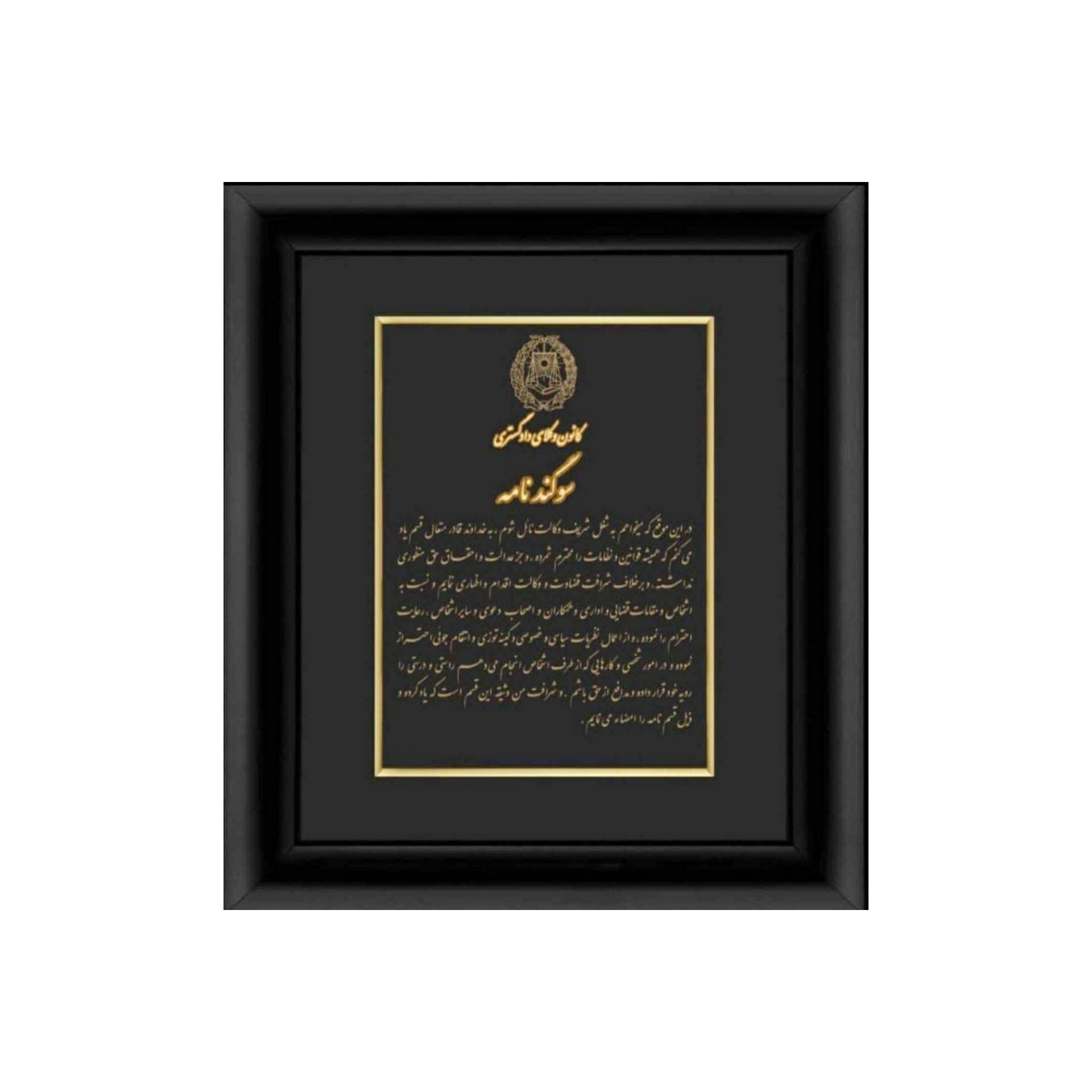 وکیل پایه یک دادگستری نگین ربیعی