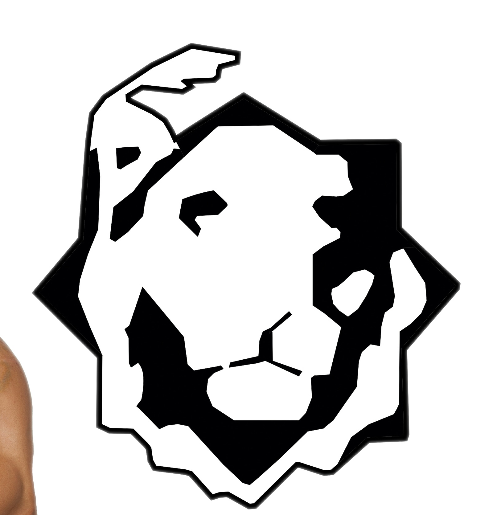 باشگاه مردان آهنين