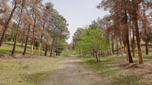 پارک چیتگر
