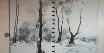 شاهین ولی الهی