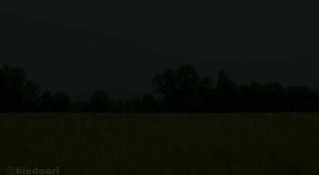 فروش گاه کیدوری