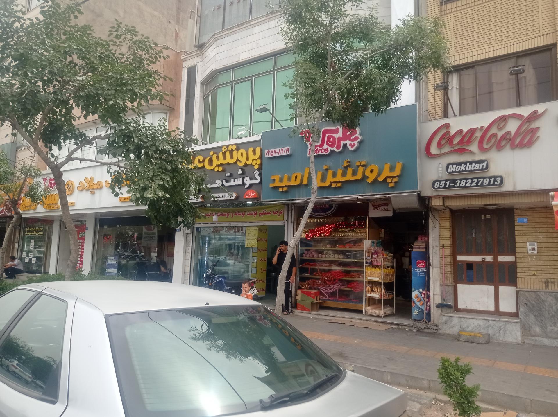 پروتئین زیتون