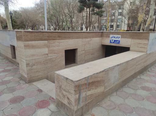 سرویس بهداشتی