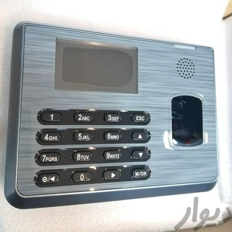 آرین طراح سناباد