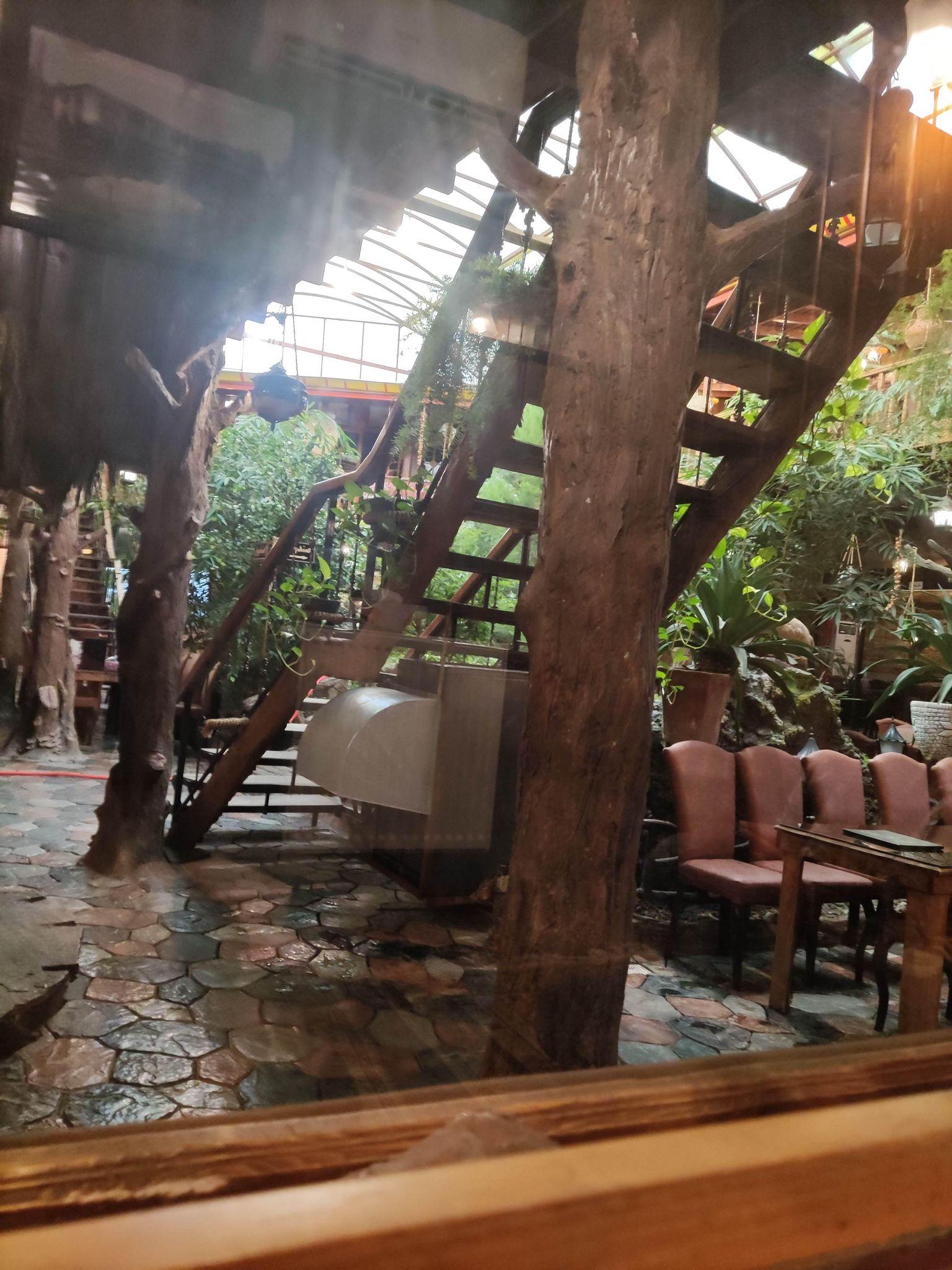 رستوران نگین شمال