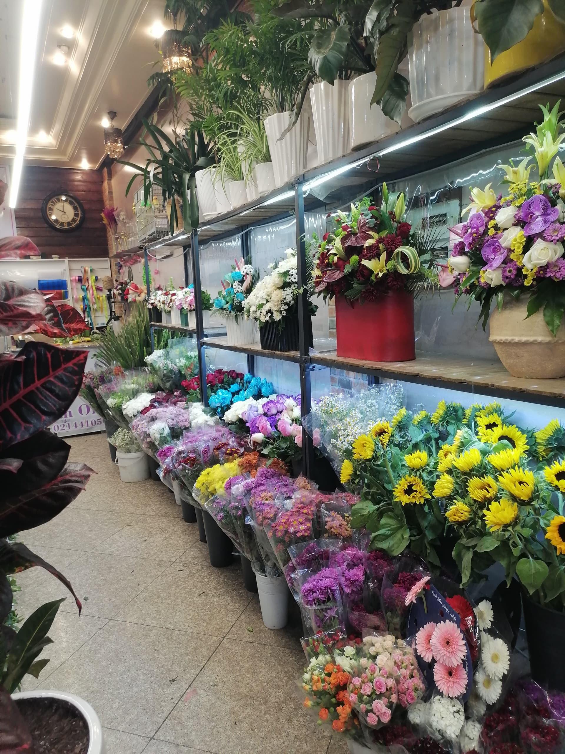 گلفروشی نابلس