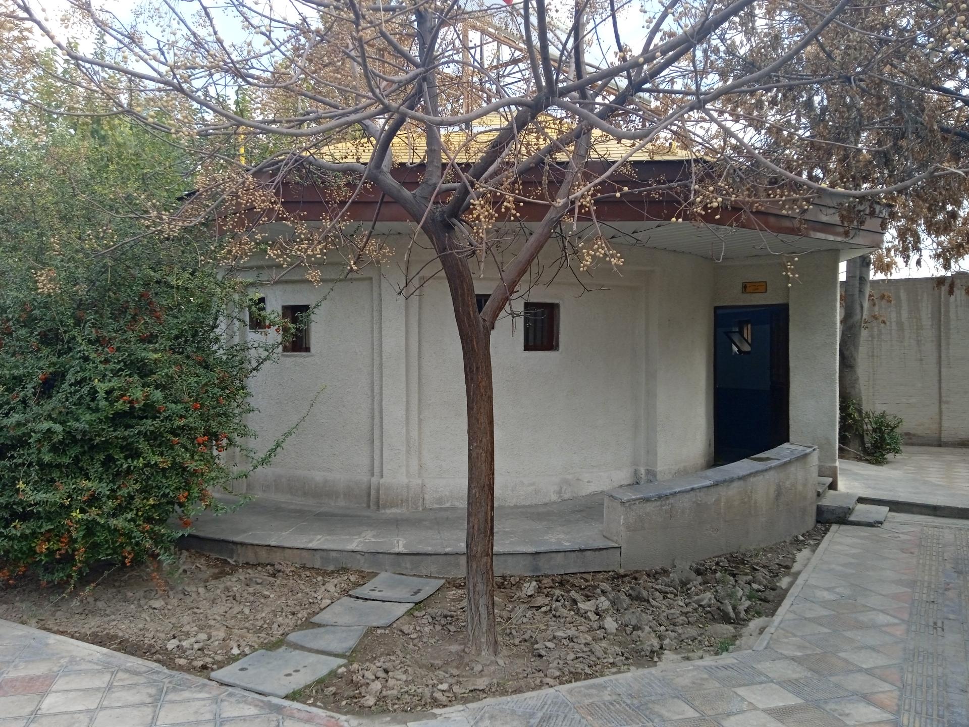سرویس بهداشتی