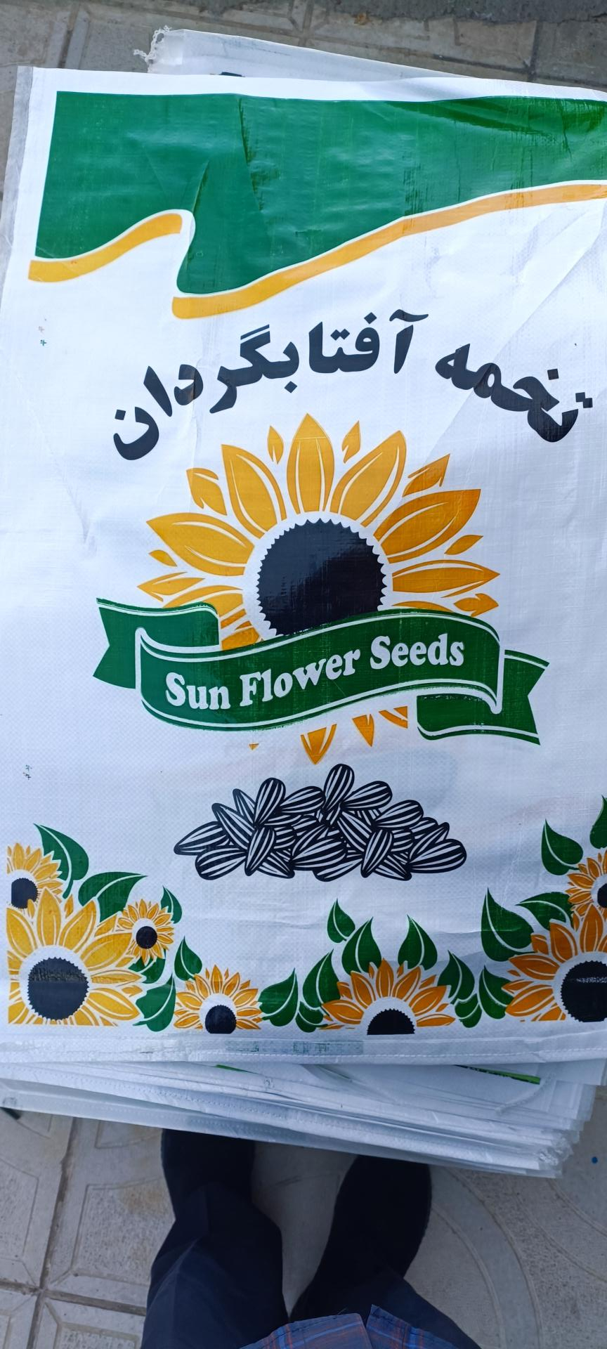 موسسه کامپیوتر بهرام