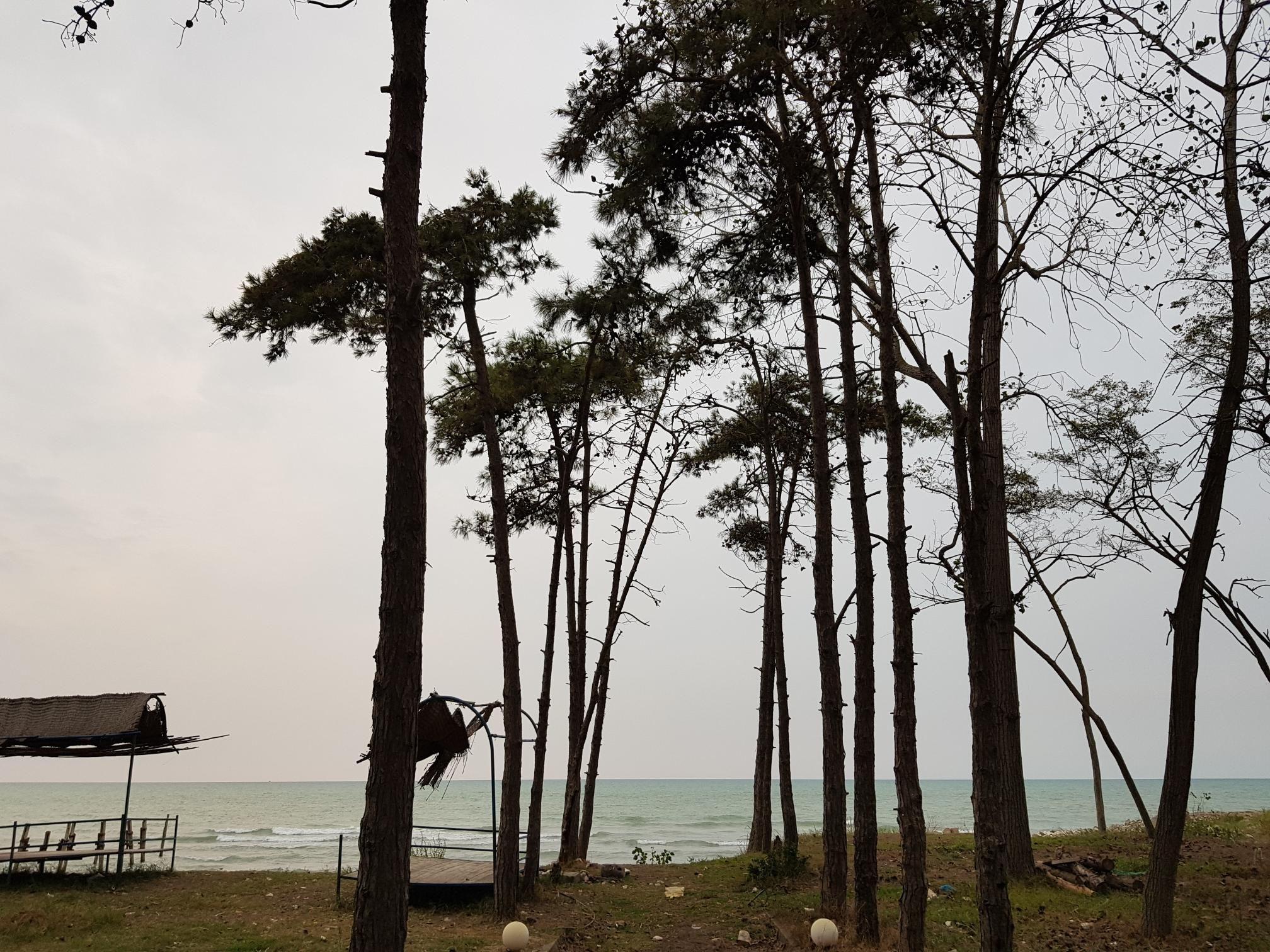 ساحل بابلسر