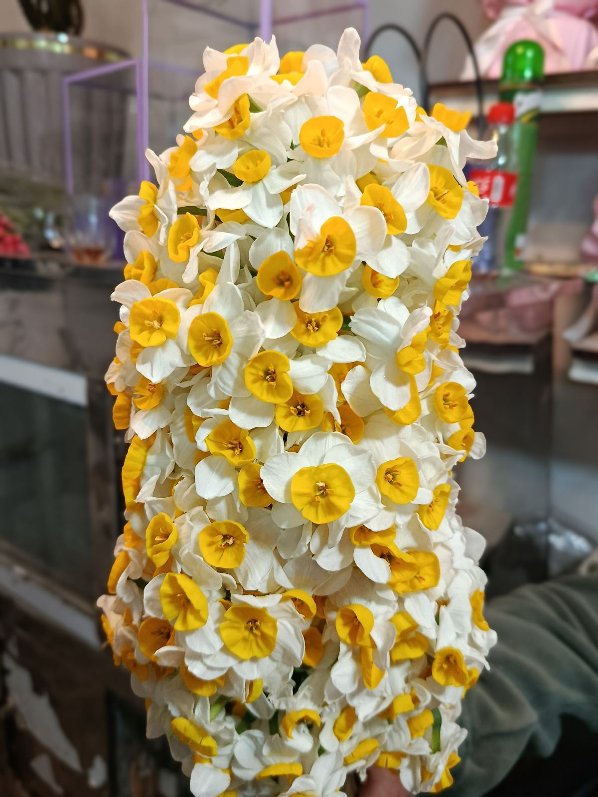 گل ارکیده