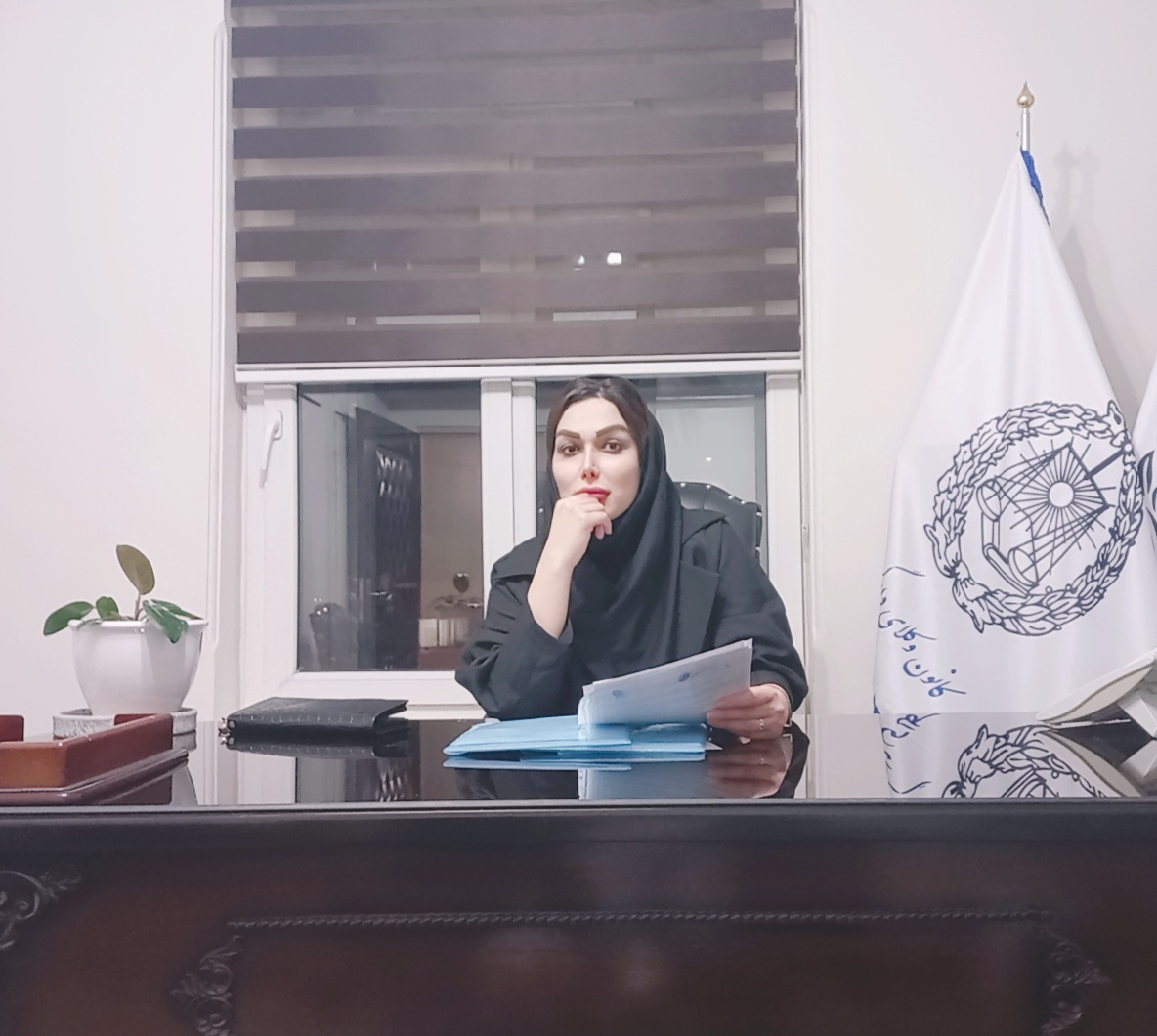 الهام شایگان فر وکیل پایه یک دادگستری