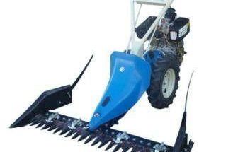 گروه تولیدی برادران باشتنی