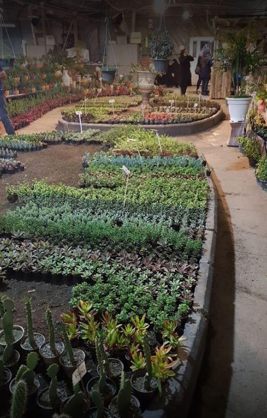 بازار گل شهید فکوری