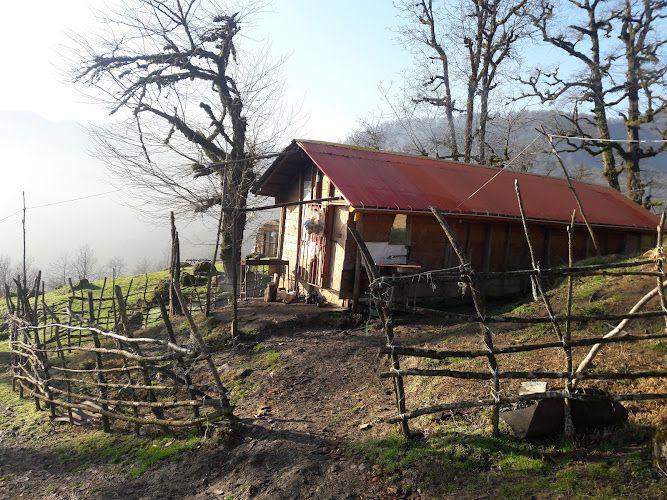 کلبه عمو عینی